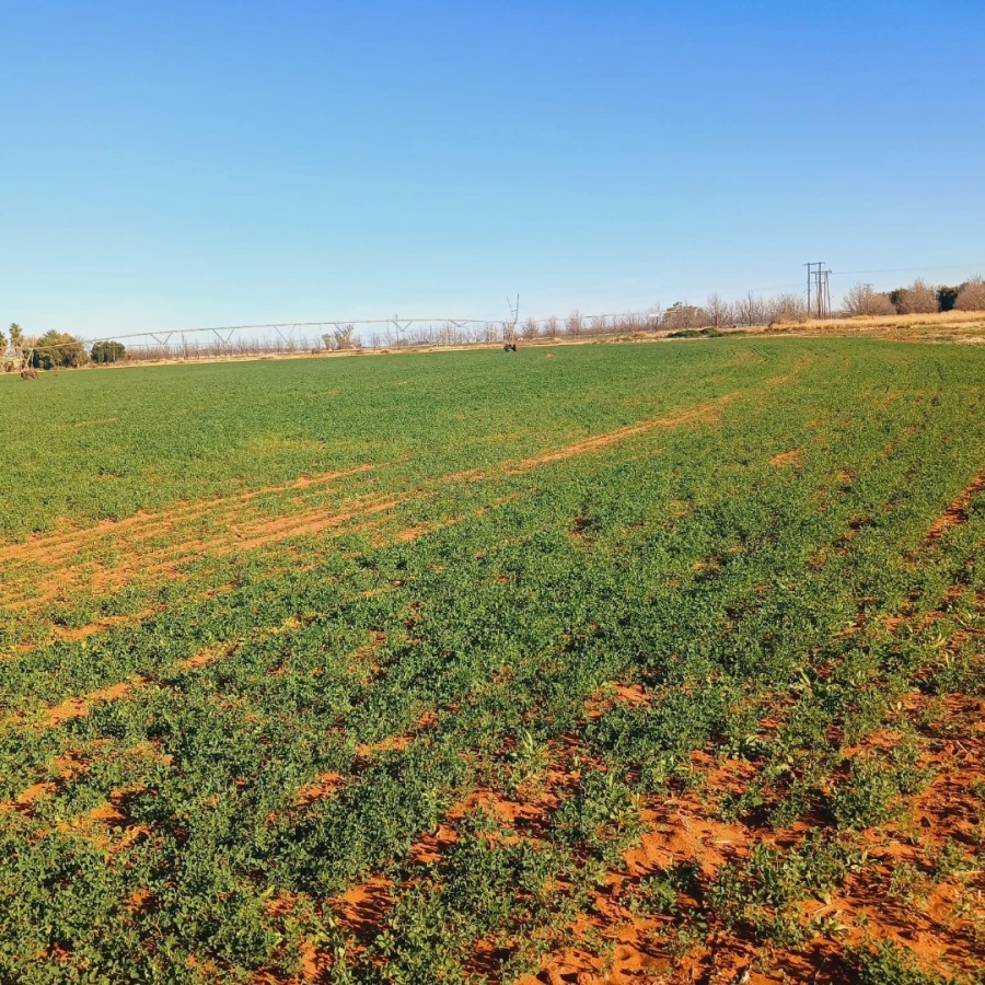  Bedroom Property for Sale in Barkly West Rural Northern Cape